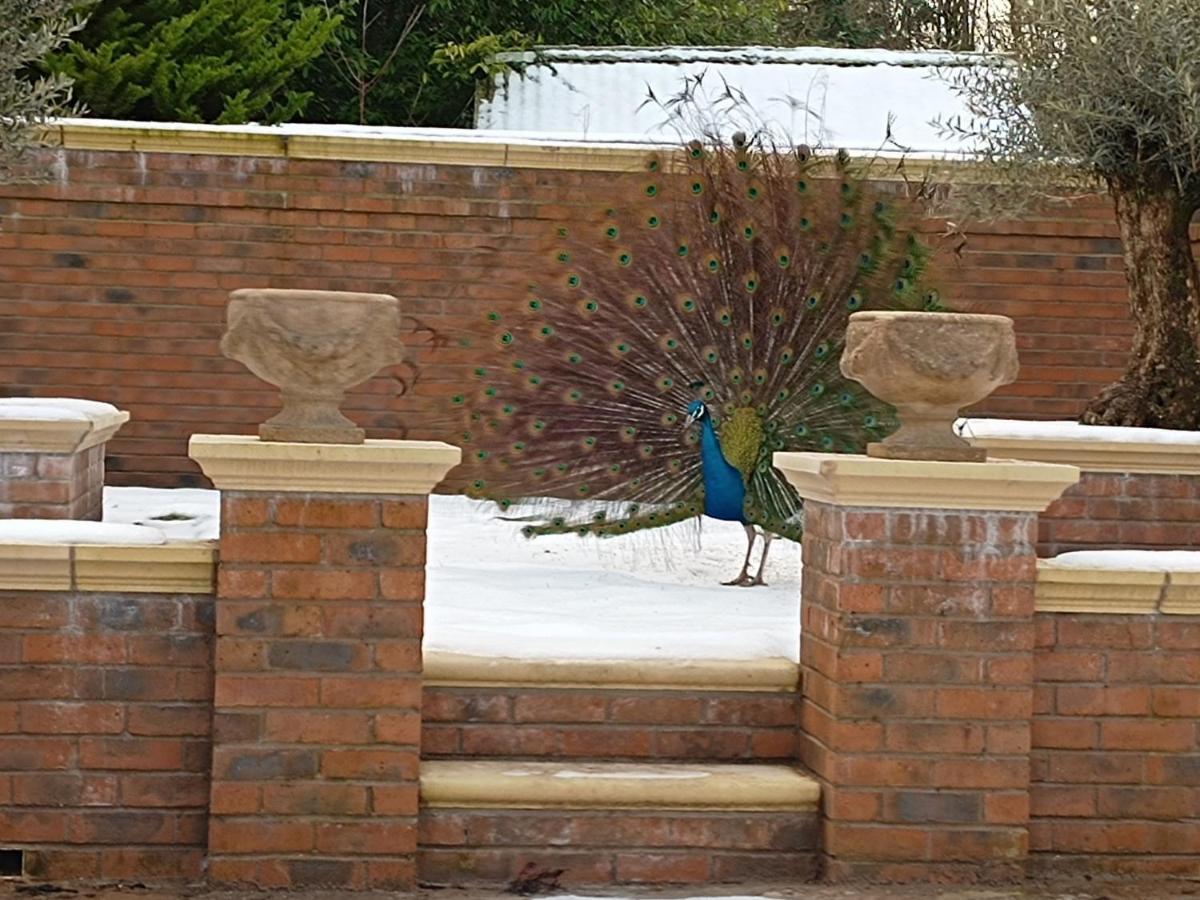 The West Wing At Eriviat Hall Hot Tub Henllan  Exterior photo