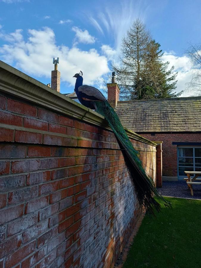The West Wing At Eriviat Hall Hot Tub Henllan  Exterior photo